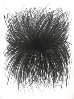 graphite-5
