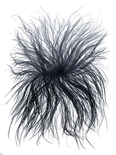 graphite-6